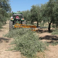 Girolivo 320-9 B.L. Speciale oliveto